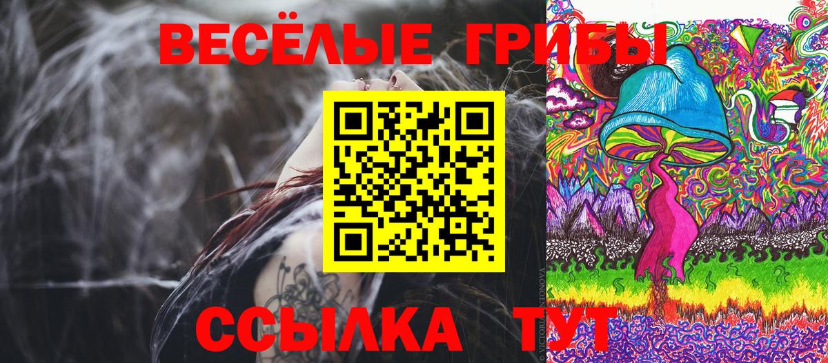 Псилоцибиновые грибы Psilocybe Медногорск